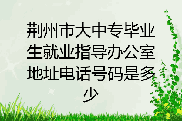 荆州市大中专毕业生就业指导办公室地址电话号码是多少