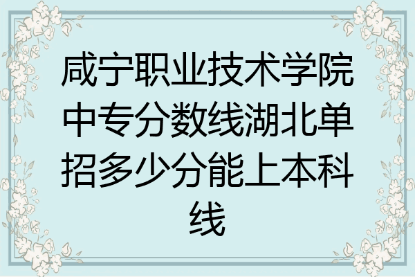 咸宁职业技术学院中专分数线湖北单招多少分能上本科线
