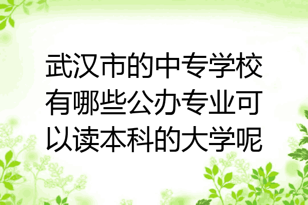 武汉市的中专学校有哪些公办专业可以读本科的大学呢