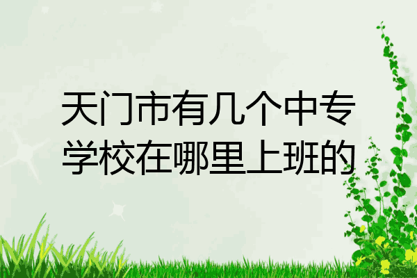 天门市有几个中专学校在哪里上班的