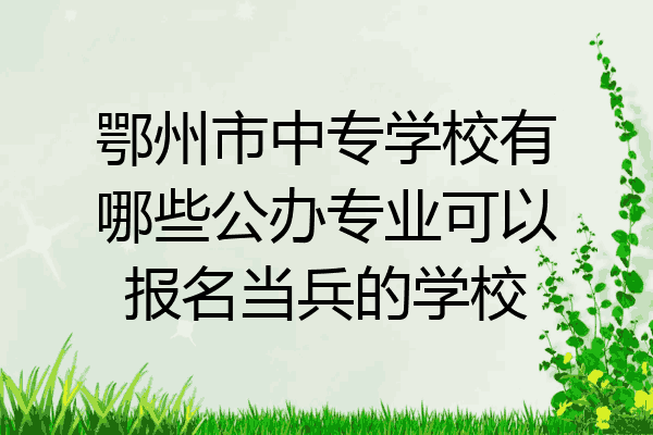鄂州市中专学校有哪些公办专业可以报名当兵的学校