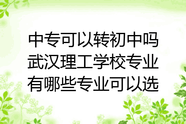 中专可以转初中吗武汉理工学校专业有哪些专业可以选