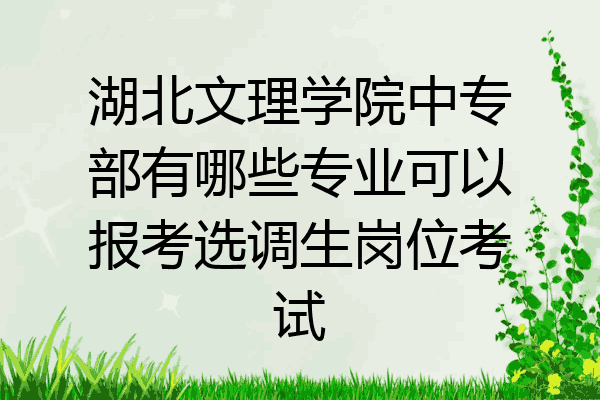 湖北文理学院中专部有哪些专业可以报考选调生岗位考试