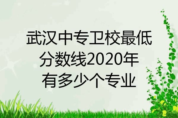 武汉中专卫校最低分数线2020年有多少个专业