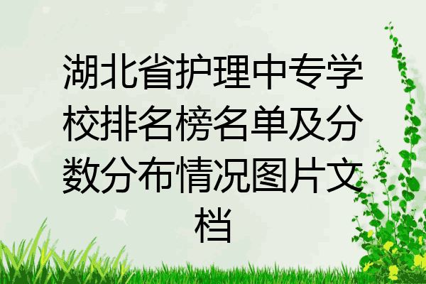 湖北省护理中专学校排名榜名单及分数分布情况图片文档