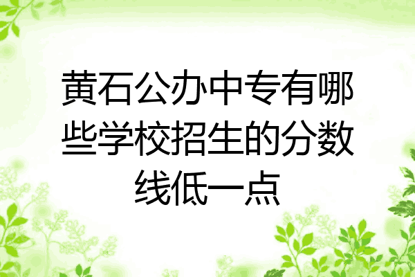 黄石公办中专有哪些学校招生的分数线低一点