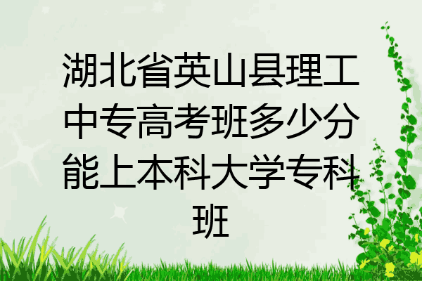 湖北省英山县理工中专高考班多少分能上本科大学专科班