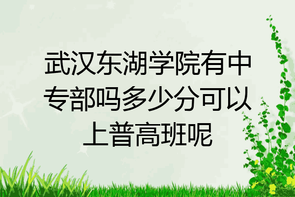 武汉东湖学院有中专部吗多少分可以上普高班呢