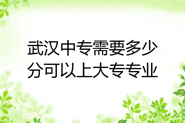 武汉中专需要多少分可以上大专专业