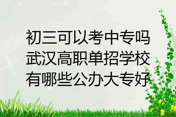 初三可以考中专吗武汉高职单招学校有哪些公办大专好