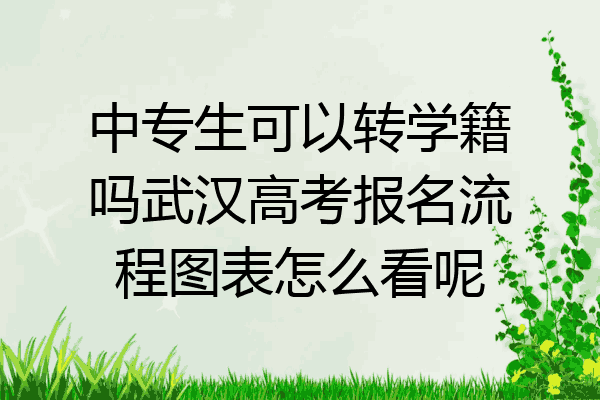 中专生可以转学籍吗武汉高考报名流程图表怎么看呢