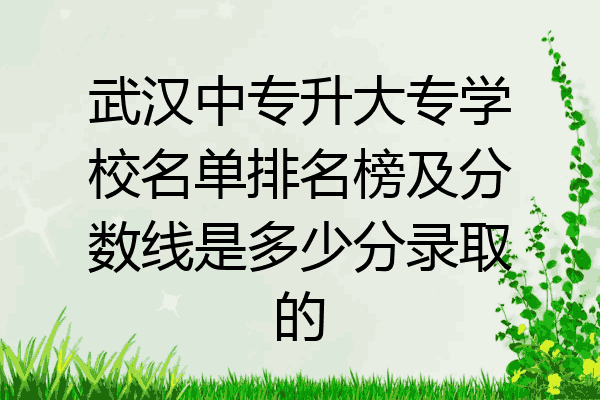 武汉中专升大专学校名单排名榜及分数线是多少分录取的