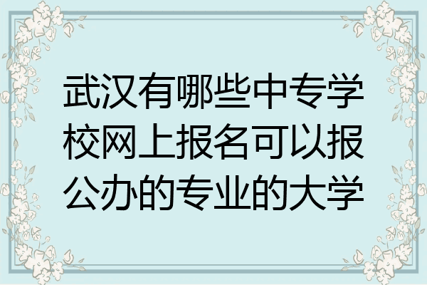 武汉有哪些中专学校网上报名可以报公办的专业的大学