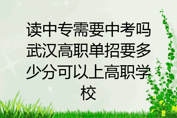 读中专需要中考吗武汉高职单招要多少分可以上高职学校