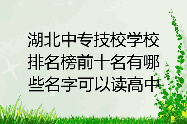 湖北中专技校学校排名榜前十名有哪些名字可以读高中