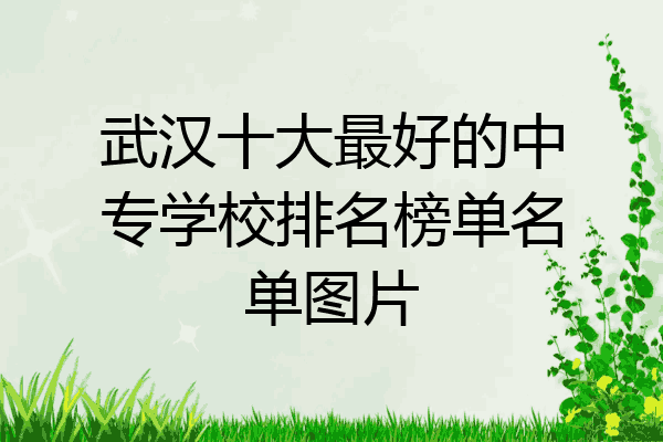 武汉十大最好的中专学校排名榜单名单图片