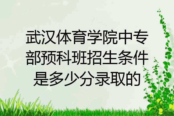武汉体育学院中专部预科班招生条件是多少分录取的