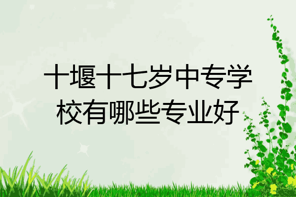 十堰十七岁中专学校有哪些专业好