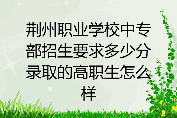 荆州职业学校中专部招生要求多少分录取的高职生怎么样