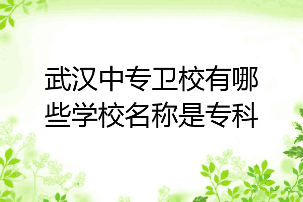 武汉中专卫校有哪些学校名称是专科