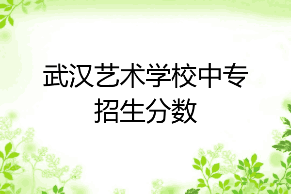 武汉艺术学校中专招生分数