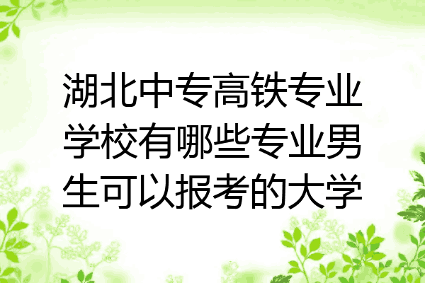 湖北中专高铁专业学校有哪些专业男生可以报考的大学