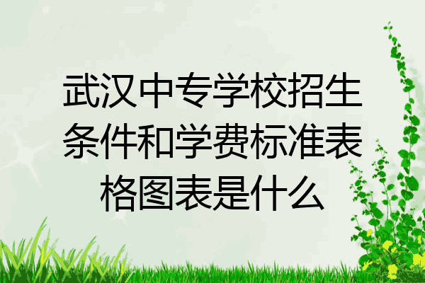 武汉中专学校招生条件和学费标准表格图表是什么