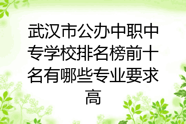 武汉市公办中职中专学校排名榜前十名有哪些专业要求高