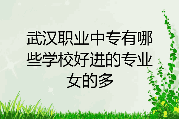 武汉职业中专有哪些学校好进的专业女的多