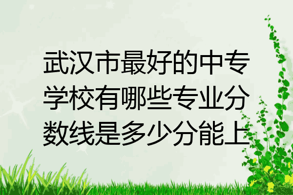 武汉市最好的中专学校有哪些专业分数线是多少分能上