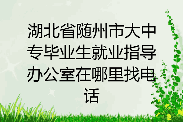 湖北省随州市大中专毕业生就业指导办公室在哪里找电话