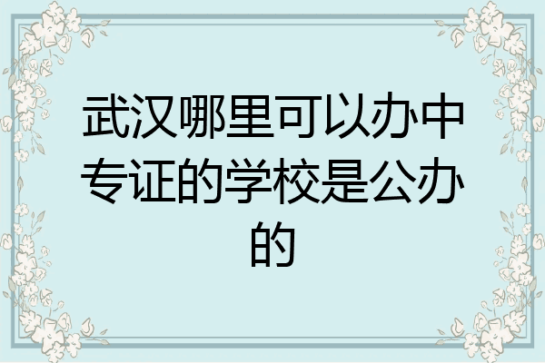 武汉哪里可以办中专证的学校是公办的