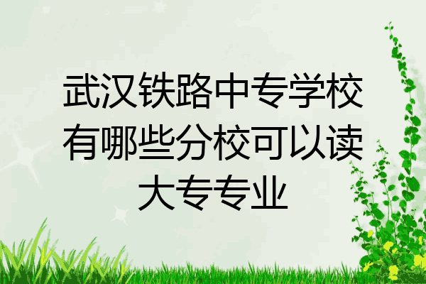 武汉铁路中专学校有哪些分校可以读大专专业