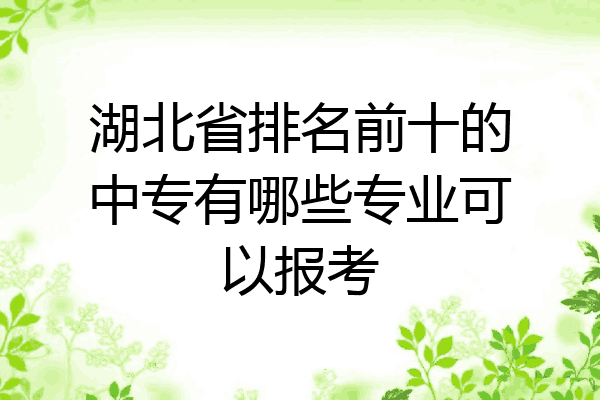 湖北省排名前十的中专有哪些专业可以报考