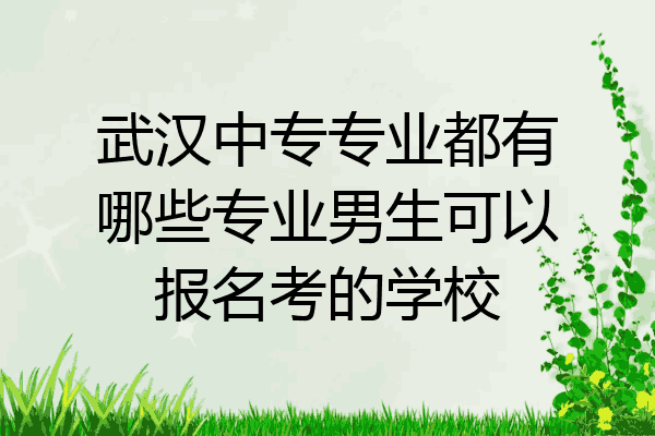 武汉中专专业都有哪些专业男生可以报名考的学校