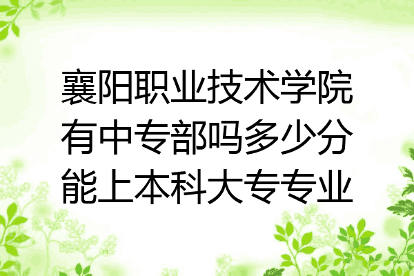 襄阳职业技术学院有中专部吗多少分能上本科大专专业