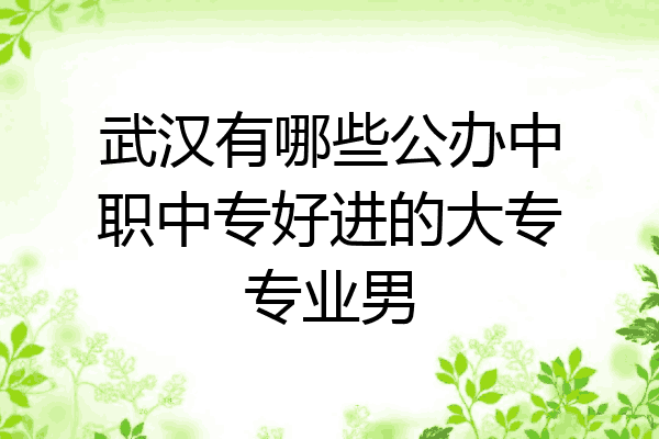 武汉有哪些公办中职中专好进的大专专业男