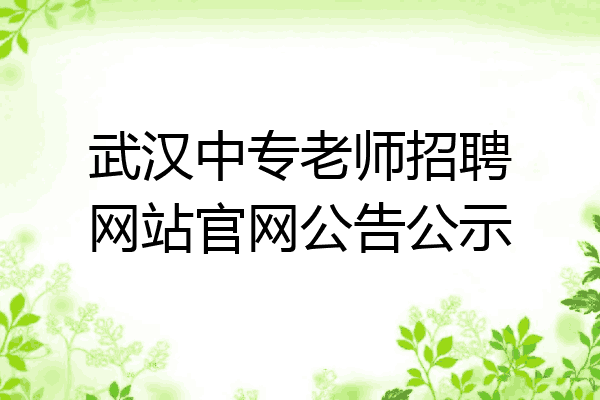 武汉中专老师招聘网站官网公告公示