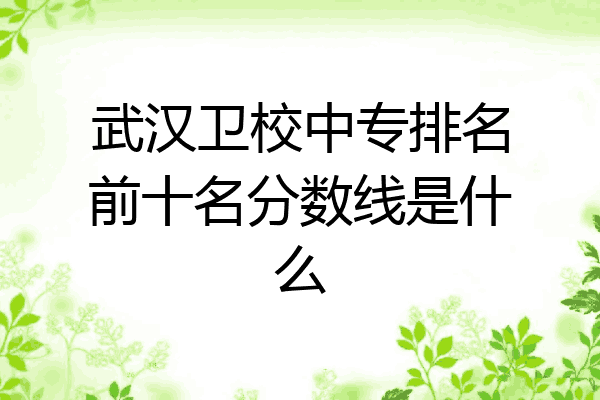 武汉卫校中专排名前十名分数线是什么