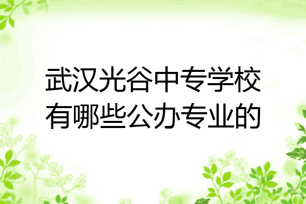 武汉光谷中专学校有哪些公办专业的