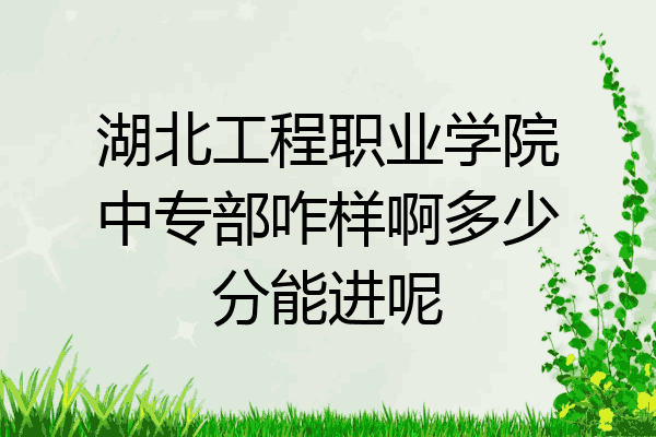 湖北工程职业学院中专部咋样啊多少分能进呢