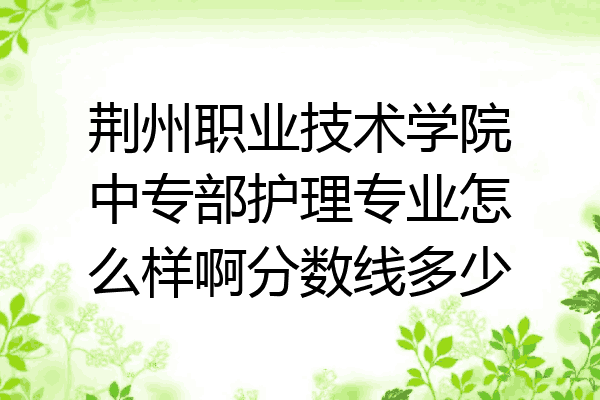 荆州职业技术学院中专部护理专业怎么样啊分数线多少
