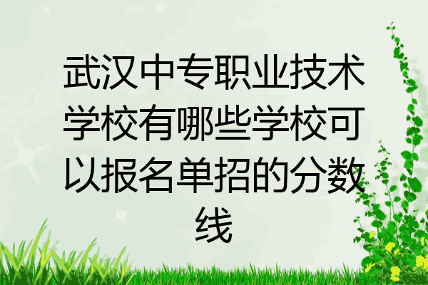 武汉中专职业技术学校有哪些学校可以报名单招的分数线