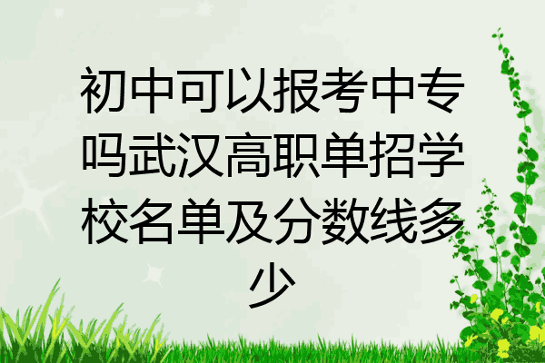 初中可以报考中专吗武汉高职单招学校名单及分数线多少