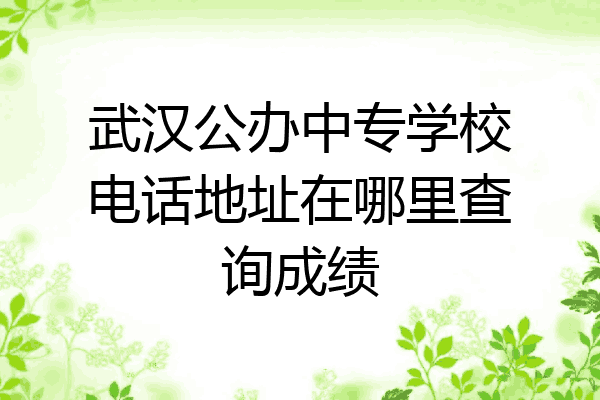 武汉公办中专学校电话地址在哪里查询成绩