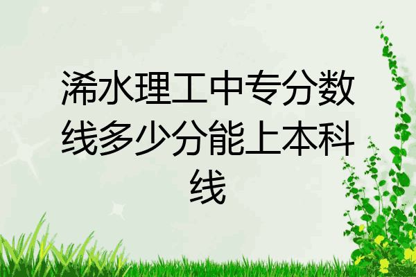 浠水理工中专分数线多少分能上本科线