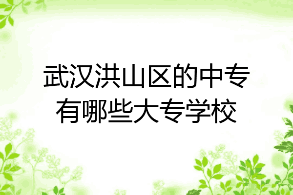 武汉洪山区的中专有哪些大专学校