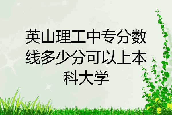 英山理工中专分数线多少分可以上本科大学