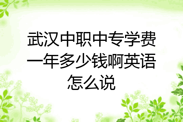 武汉中职中专学费一年多少钱啊英语怎么说