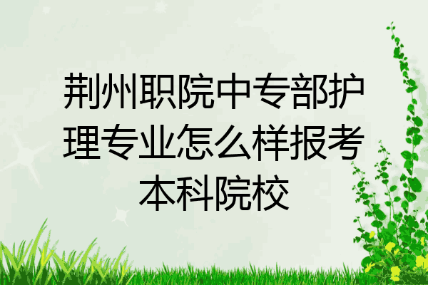荆州职院中专部护理专业怎么样报考本科院校